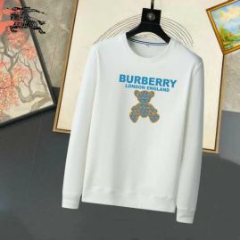 Picture of Burberry Sweatshirts _SKUBurberryM-3XL25tn4324834